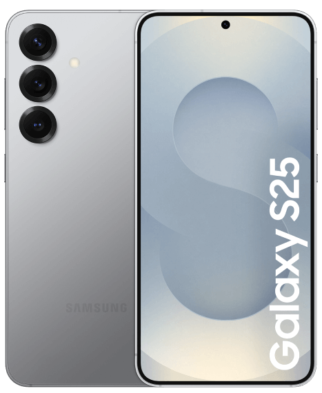 Samsung Galaxy S25 Grey
