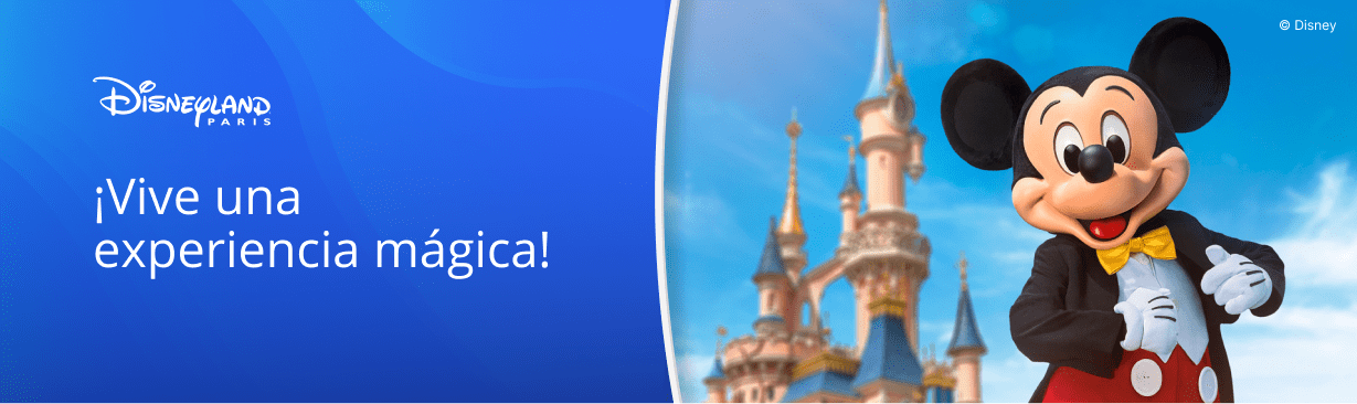 Disneyland Banner