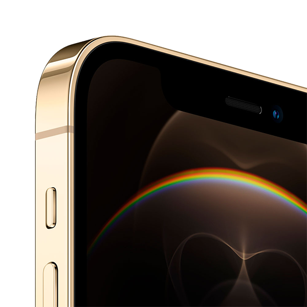 Smartphone Apple iPhone 12 Pro 256Gb Oro + funda + adaptador
                                    image number 1